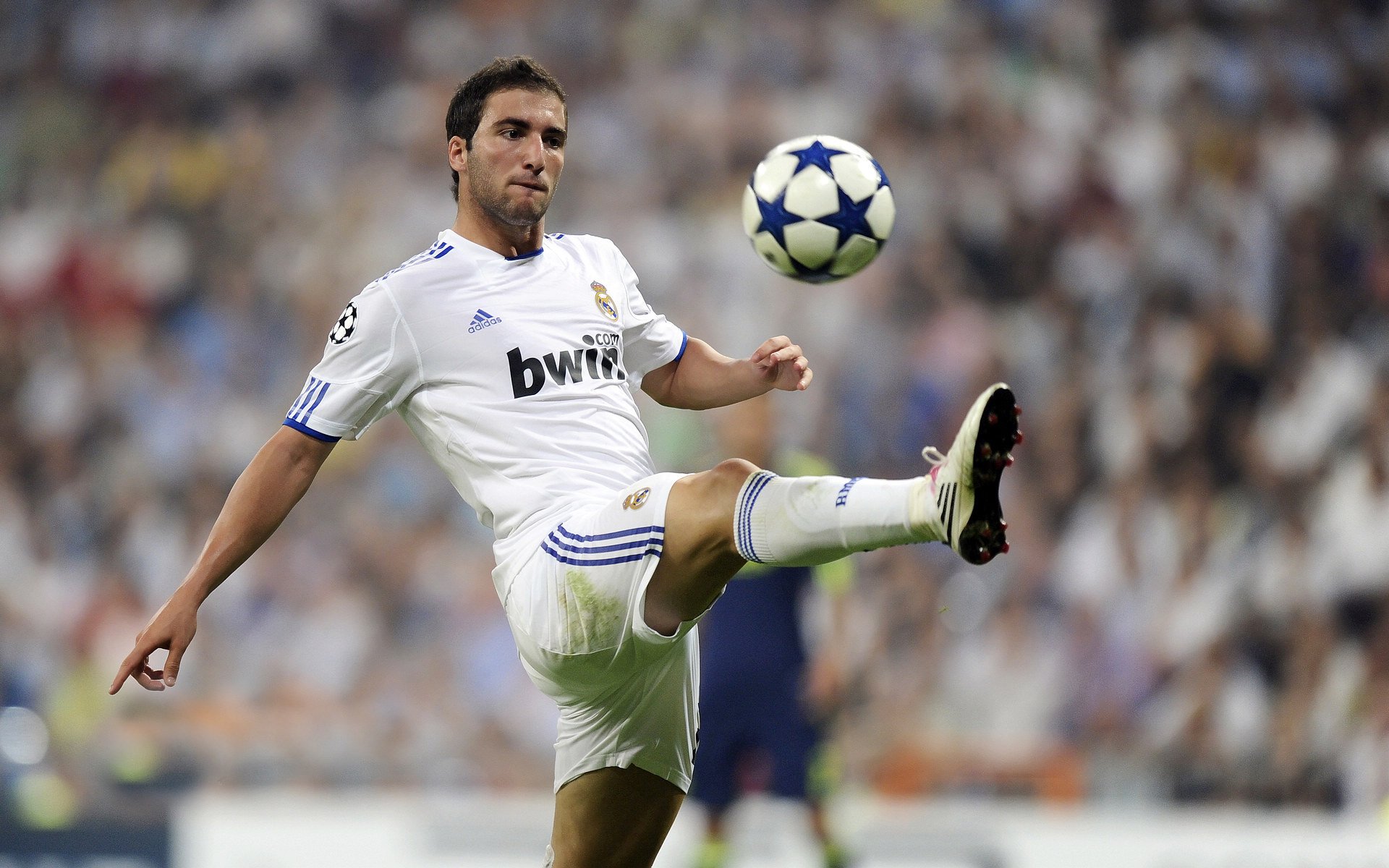 挪威女足联盟最新赛况引发球迷热议，挪威足球联赛2021